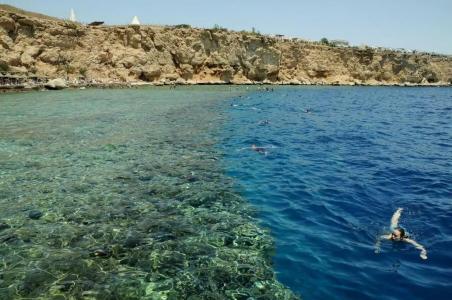 Dreams Vacation Resort - Sharm El Sheikh - 65
