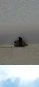 Side Resort Annex - 75