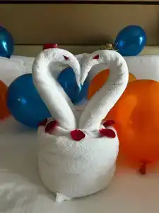 Khalidiya Palace Rayhaan by Rotana, Abu Dhabi - 54