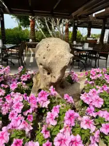 Alba Resort - Ultra All Inclusive - 91