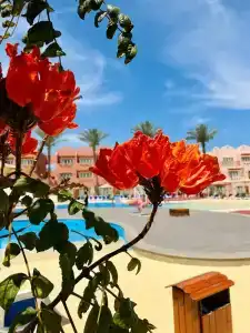 Nubian Village, Families and Couples only - 14