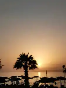 Sahara Beach Resort & Spa - 35