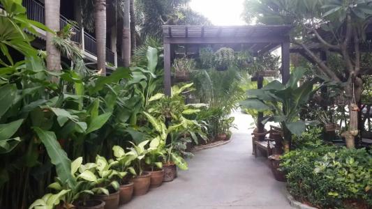 Am Samui Palace - 88