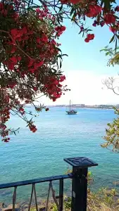 Fun&Sun Smart Hane Sun - 97