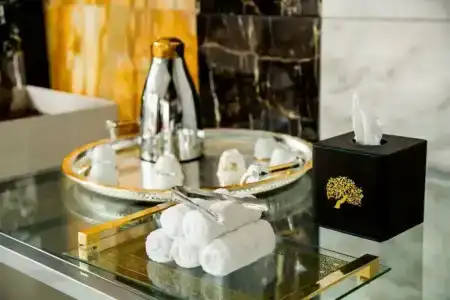 Jannah Burj Al Sarab - 23