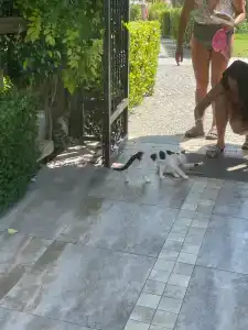 Sentido Trendy Verbena Beach - 31