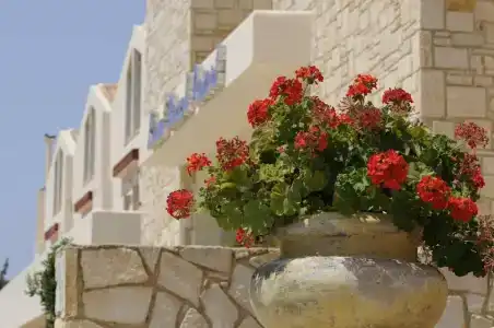 Kiani Beach Resort Family All Inclusive - 31