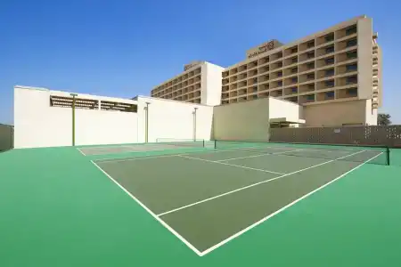 Hilton Garden Inn Ras Al Khaimah - 11