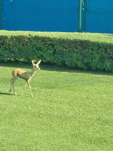 JA Lake View, Dubai - 76