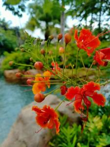 Centara Grand Mirage Beach Resort Pattaya - 26