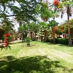 Tamra Beach Resort - 84