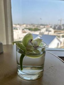Al Khoory Executive, Al Wasl - 37