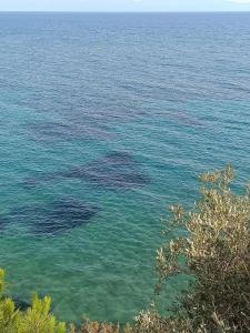 Aria Claros Beach & Spa Resort – All Inclusive 24H - 16