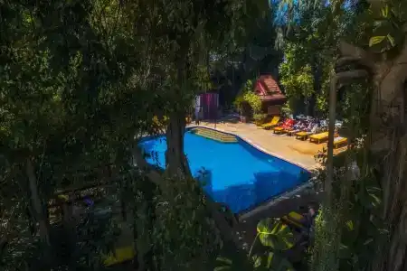 Tropica Bungalow Beach - SHA Extra Plus - 62