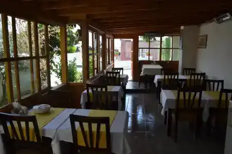 Tulip House - 31