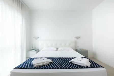 Cavallino Bianco - 40