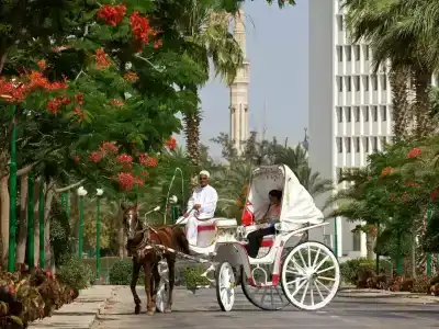 Mercure Ismailia Forsan Island - 1