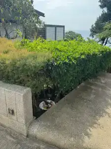 The Shore At Katathani - Adult Only - SHA Extra Plus - 95