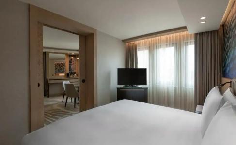 DoubleTree by Hilton Istanbul - Sirkeci - 78