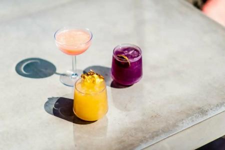 Virgins New Orleans - 85