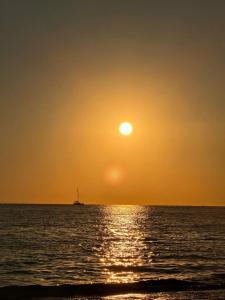 Kleopatra Celine - 5