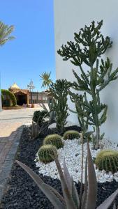 Sultan Gardens Resort - 73