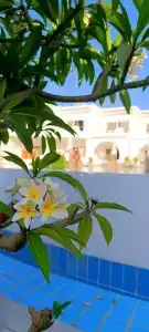 Iberotel Palace - Adults Friendly 16 Years Plus - 46