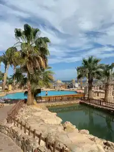 Parrotel Beach Resort - 22