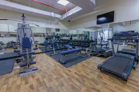 Ewan Ajman Suites - 18