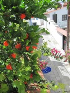 Stratos ArtDeco House - 68