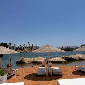 Domina Coral Bay Resort, Diving , Spa & Casino - 53