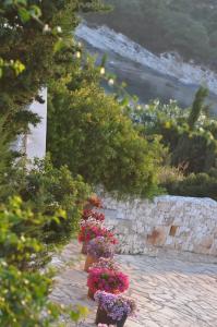 Emelisse Nature Resort - 65