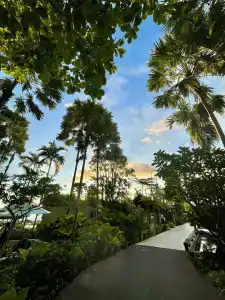 Grand Mercure Khao Lak Bangsak - 66