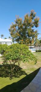 Novotel Sharm El-Sheikh - 33