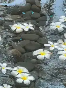 The Westin Dubai Mina Seyahi Beach Resort and Waterpark - 24