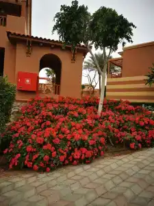 Charmillion Gardens Aquapark - 47