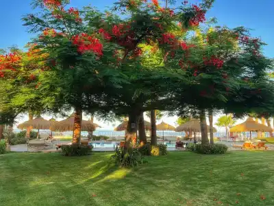 Tamra Beach Resort - 13