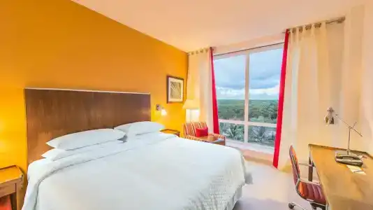 Four Points by Sheraton - 45