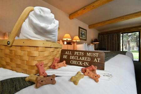 Best Western Ponderosa Lodge - 73