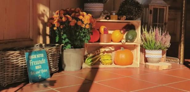 Blaue Gams ***S - 23