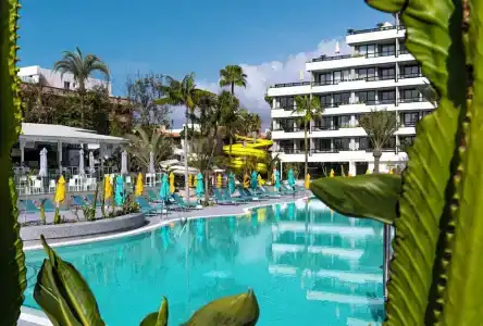 Spring Bitácora - 47