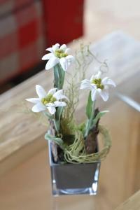 Best Western Plus Alpenhof - 28