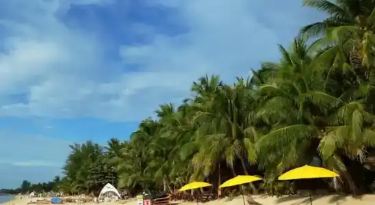 Coconut Beach Resort - 43