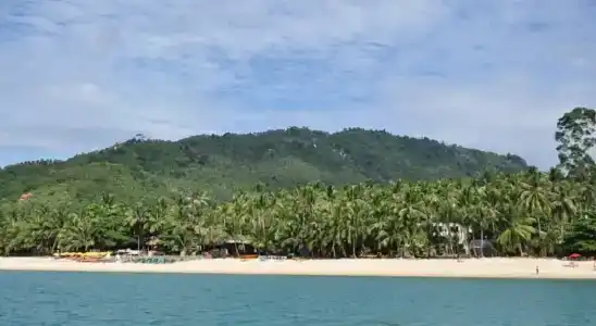 Coconut Beach Resort - 54