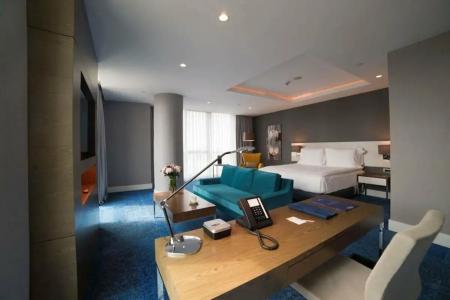 Radisson Blu, Kayseri - 30