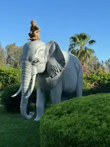 Alba Resort - Ultra All Inclusive - 77