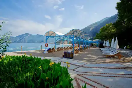 Liberty Lykia Adults Only - 45