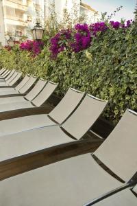 ALEGRIA Fenals Mar - 16