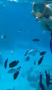 Sentido Reef Oasis Senses Aqua Park Resort - 19
