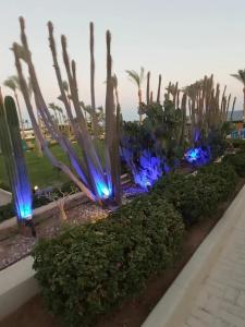 Grand Oasis Resort - 82